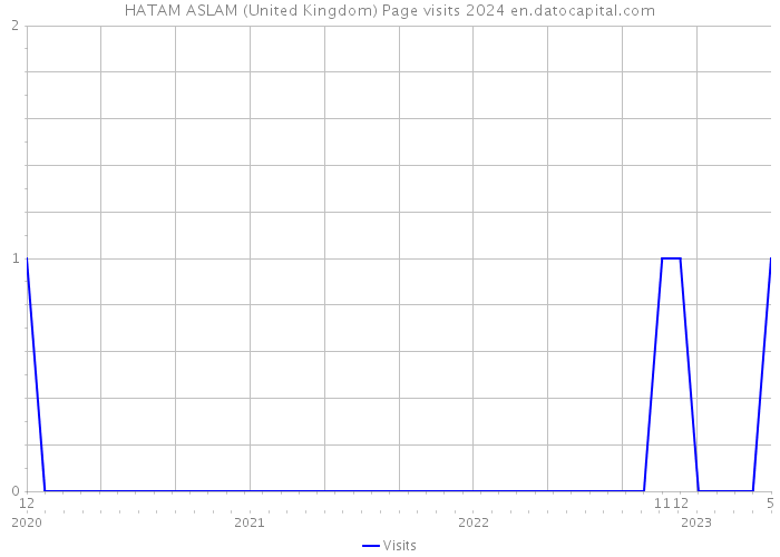 HATAM ASLAM (United Kingdom) Page visits 2024 