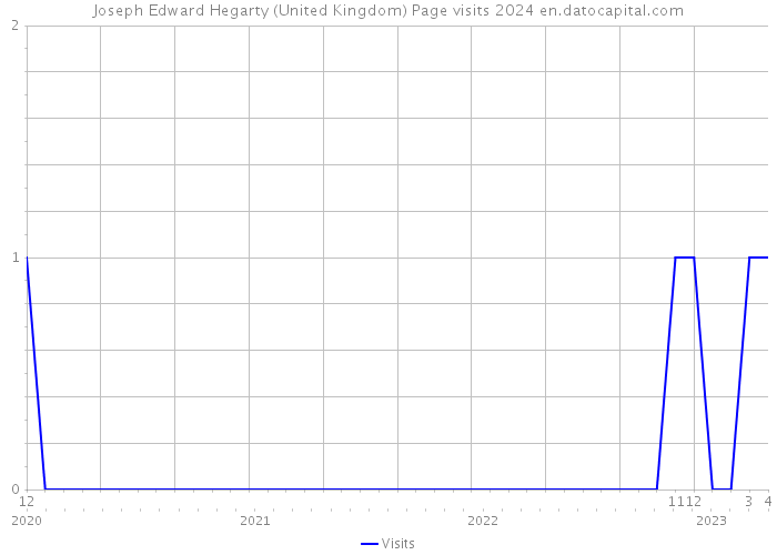Joseph Edward Hegarty (United Kingdom) Page visits 2024 