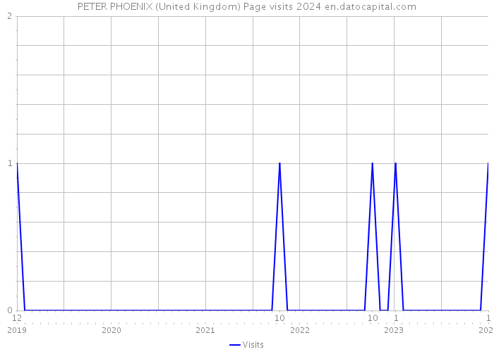 PETER PHOENIX (United Kingdom) Page visits 2024 
