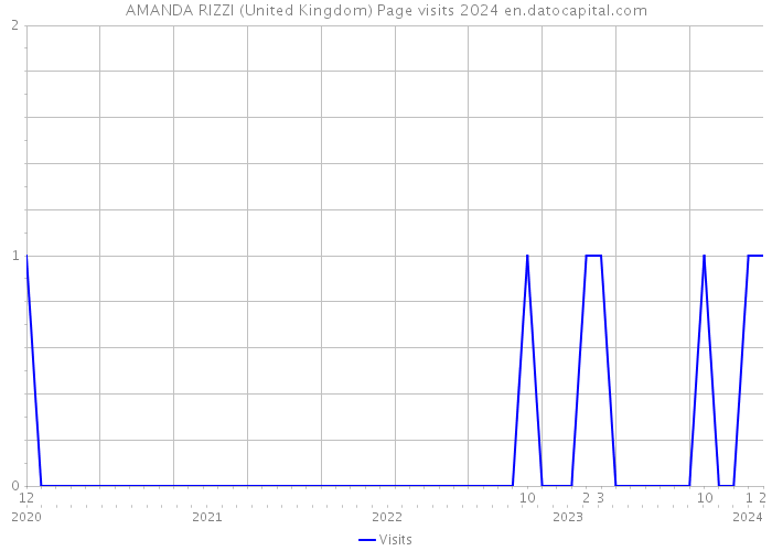 AMANDA RIZZI (United Kingdom) Page visits 2024 