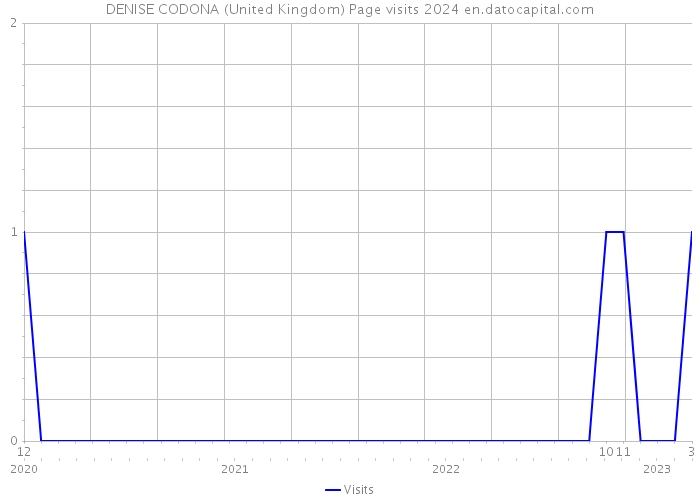 DENISE CODONA (United Kingdom) Page visits 2024 