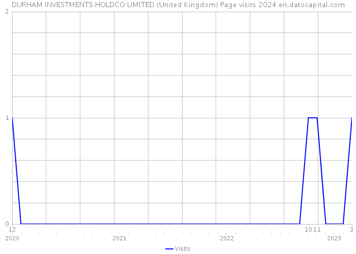 DURHAM INVESTMENTS HOLDCO LIMITED (United Kingdom) Page visits 2024 