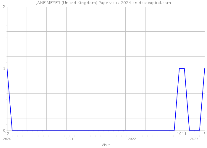 JANE MEYER (United Kingdom) Page visits 2024 
