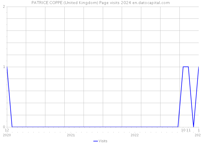 PATRICE COPPE (United Kingdom) Page visits 2024 