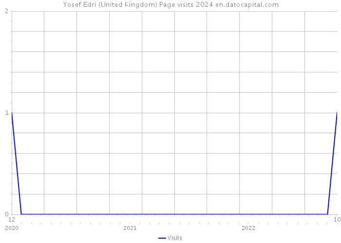 Yosef Edri (United Kingdom) Page visits 2024 