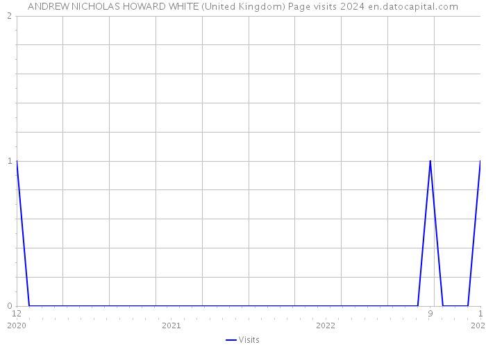ANDREW NICHOLAS HOWARD WHITE (United Kingdom) Page visits 2024 