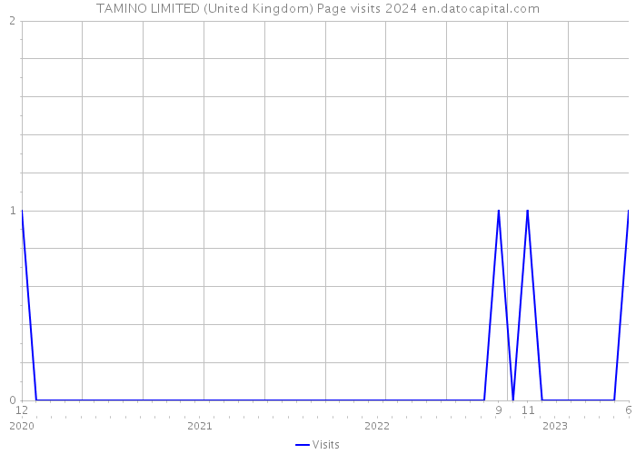 TAMINO LIMITED (United Kingdom) Page visits 2024 