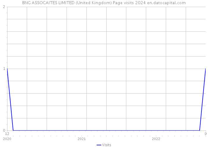 BNG ASSOCAITES LIMITED (United Kingdom) Page visits 2024 
