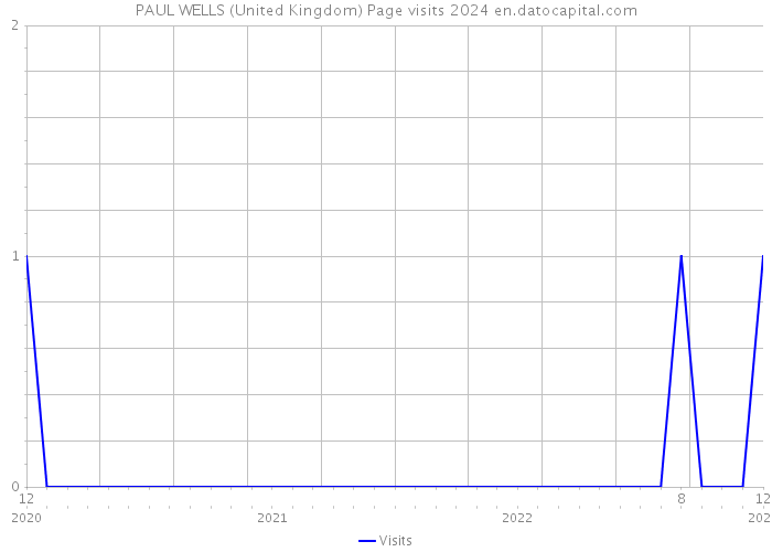 PAUL WELLS (United Kingdom) Page visits 2024 