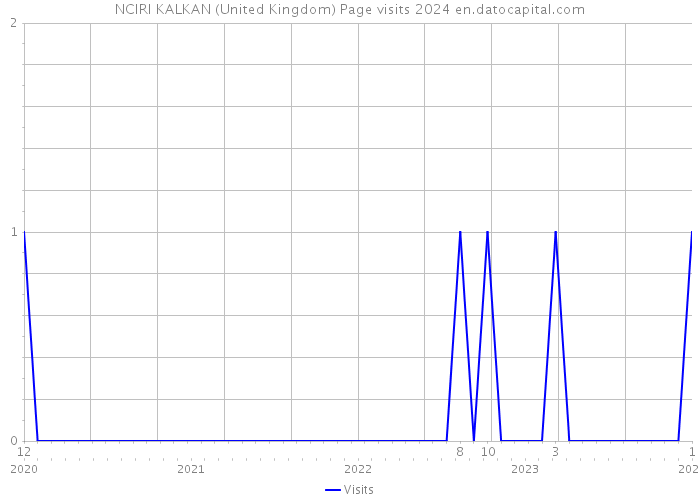 NCIRI KALKAN (United Kingdom) Page visits 2024 