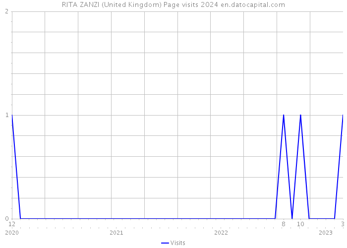 RITA ZANZI (United Kingdom) Page visits 2024 