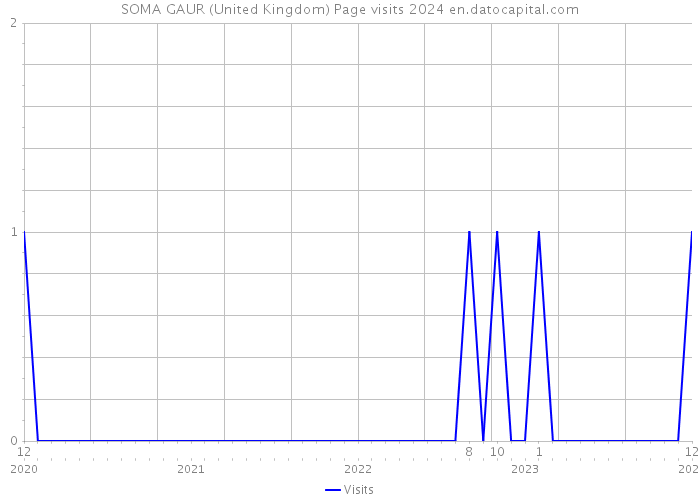 SOMA GAUR (United Kingdom) Page visits 2024 