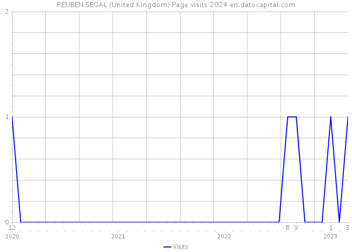 REUBEN SEGAL (United Kingdom) Page visits 2024 