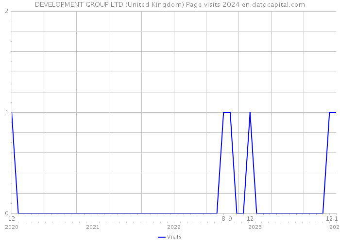 DEVELOPMENT GROUP LTD (United Kingdom) Page visits 2024 
