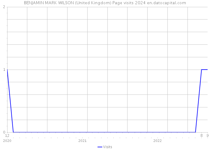 BENJAMIN MARK WILSON (United Kingdom) Page visits 2024 