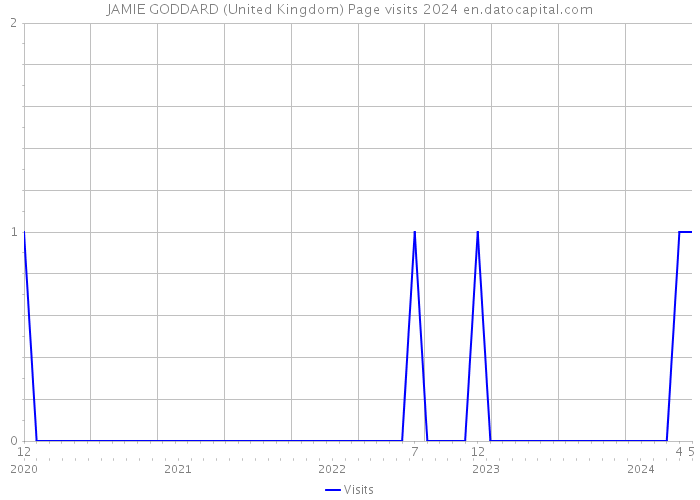 JAMIE GODDARD (United Kingdom) Page visits 2024 
