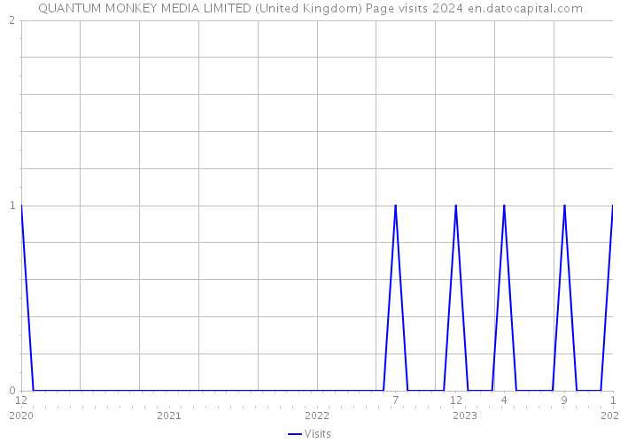QUANTUM MONKEY MEDIA LIMITED (United Kingdom) Page visits 2024 