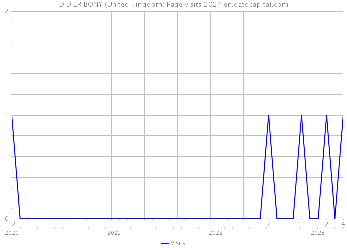 DIDIER BONY (United Kingdom) Page visits 2024 