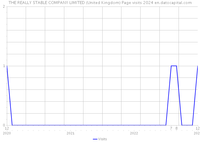 THE REALLY STABLE COMPANY LIMITED (United Kingdom) Page visits 2024 