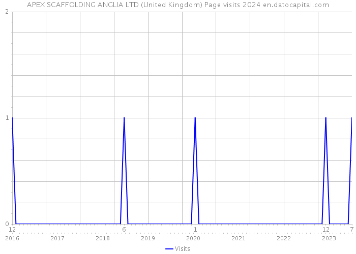 APEX SCAFFOLDING ANGLIA LTD (United Kingdom) Page visits 2024 