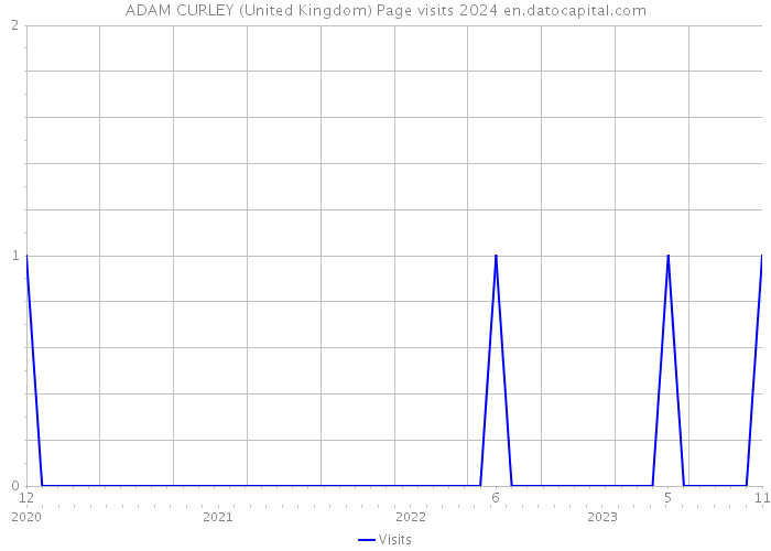 ADAM CURLEY (United Kingdom) Page visits 2024 