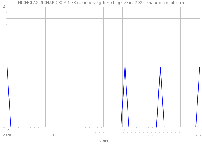 NICHOLAS RICHARD SCARLES (United Kingdom) Page visits 2024 