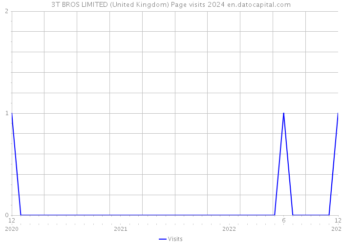 3T BROS LIMITED (United Kingdom) Page visits 2024 