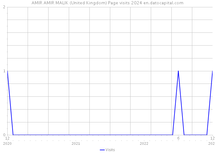 AMIR AMIR MALIK (United Kingdom) Page visits 2024 