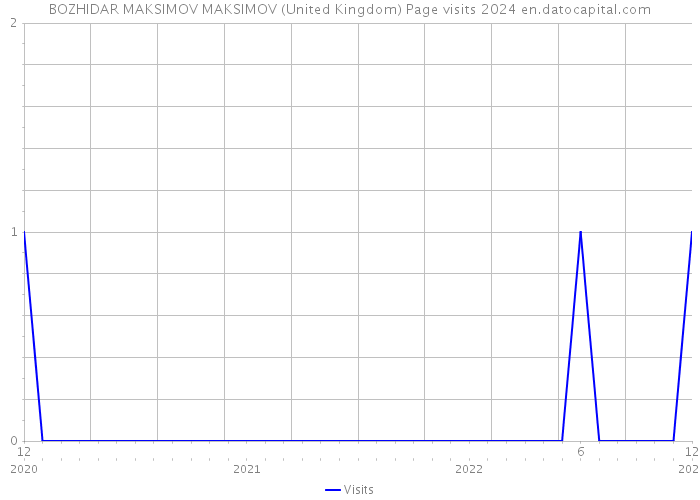 BOZHIDAR MAKSIMOV MAKSIMOV (United Kingdom) Page visits 2024 