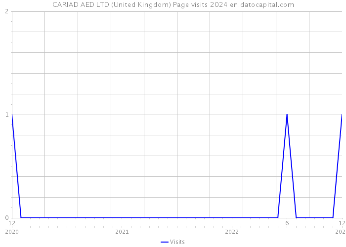 CARIAD AED LTD (United Kingdom) Page visits 2024 