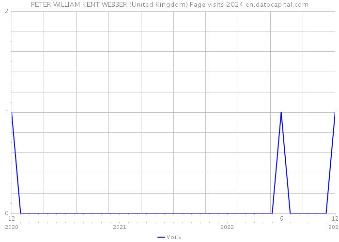 PETER WILLIAM KENT WEBBER (United Kingdom) Page visits 2024 