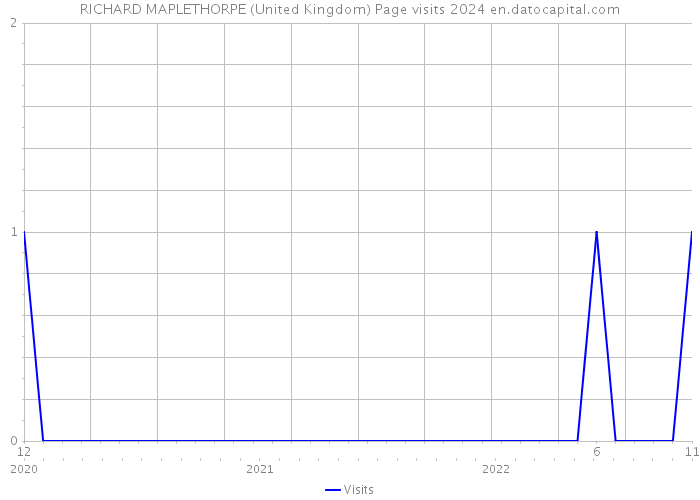RICHARD MAPLETHORPE (United Kingdom) Page visits 2024 