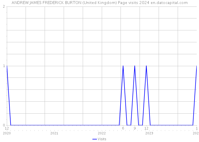 ANDREW JAMES FREDERICK BURTON (United Kingdom) Page visits 2024 