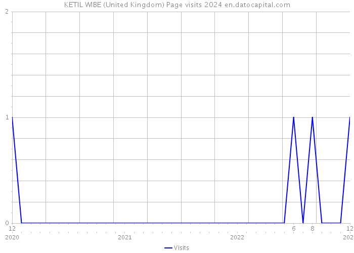 KETIL WIBE (United Kingdom) Page visits 2024 