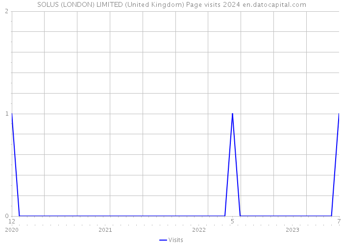 SOLUS (LONDON) LIMITED (United Kingdom) Page visits 2024 