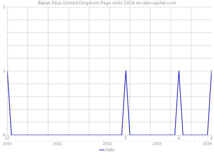 Babak Paya (United Kingdom) Page visits 2024 
