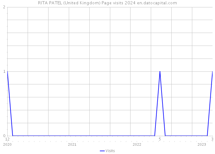 RITA PATEL (United Kingdom) Page visits 2024 