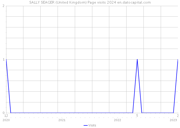 SALLY SEAGER (United Kingdom) Page visits 2024 