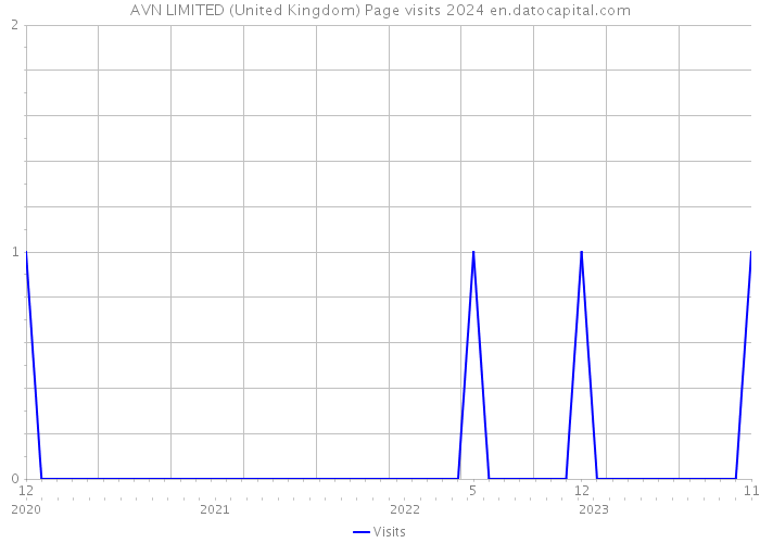 AVN LIMITED (United Kingdom) Page visits 2024 