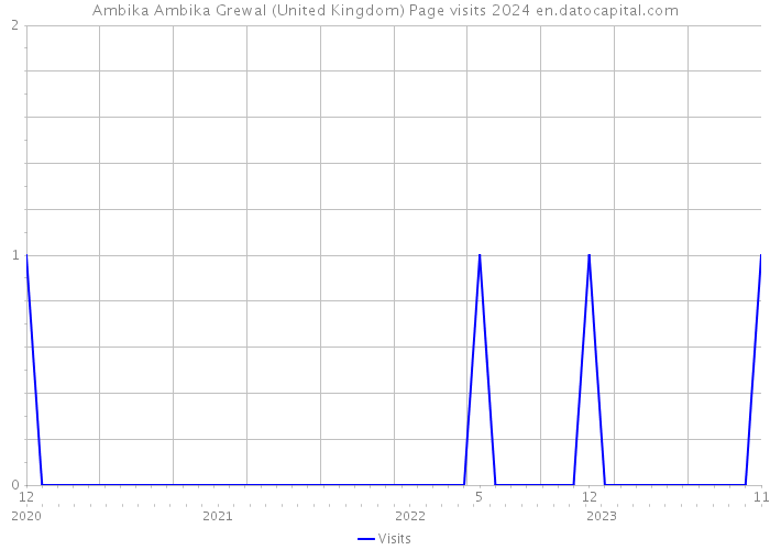 Ambika Ambika Grewal (United Kingdom) Page visits 2024 