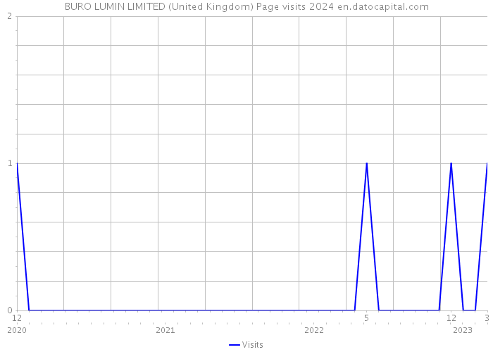 BURO LUMIN LIMITED (United Kingdom) Page visits 2024 