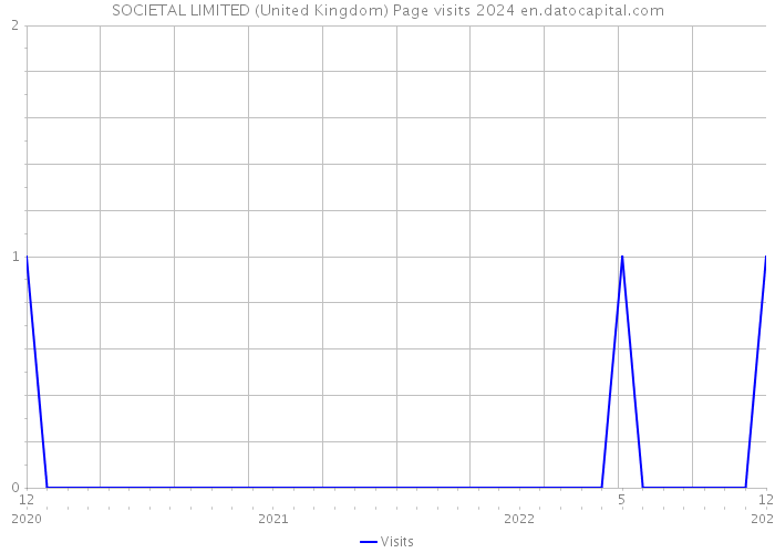 SOCIETAL LIMITED (United Kingdom) Page visits 2024 