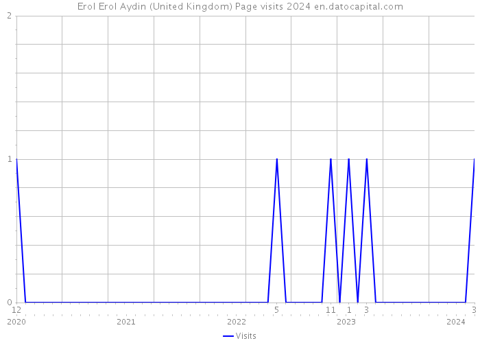 Erol Erol Aydin (United Kingdom) Page visits 2024 