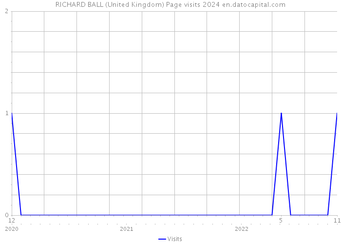 RICHARD BALL (United Kingdom) Page visits 2024 