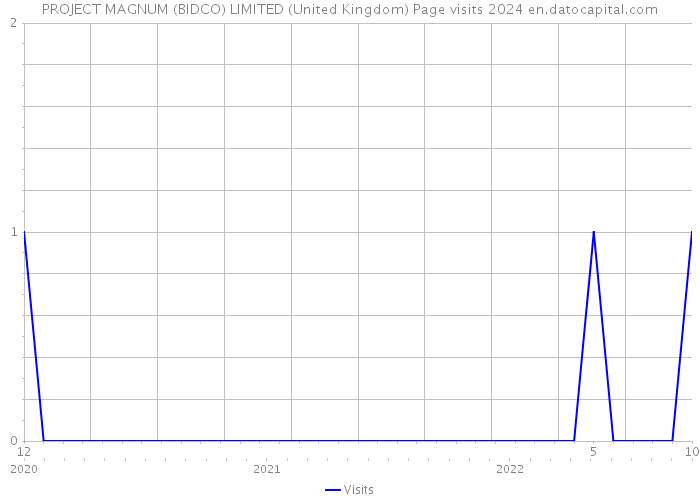 PROJECT MAGNUM (BIDCO) LIMITED (United Kingdom) Page visits 2024 