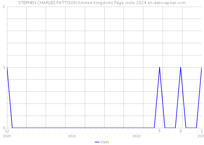 STEPHEN CHARLES PATTISON (United Kingdom) Page visits 2024 