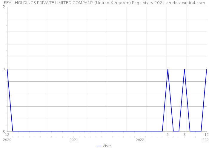 BEAL HOLDINGS PRIVATE LIMITED COMPANY (United Kingdom) Page visits 2024 