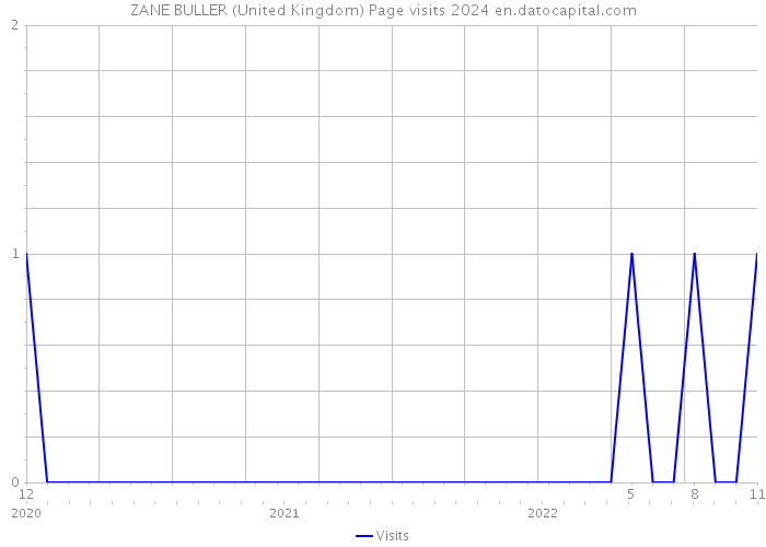 ZANE BULLER (United Kingdom) Page visits 2024 
