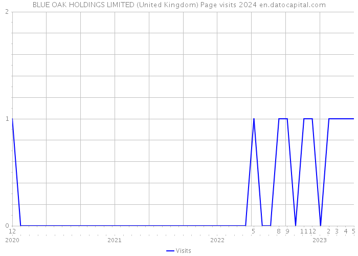 BLUE OAK HOLDINGS LIMITED (United Kingdom) Page visits 2024 