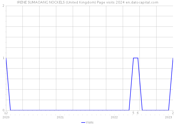 IRENE SUMAOANG NOCKELS (United Kingdom) Page visits 2024 